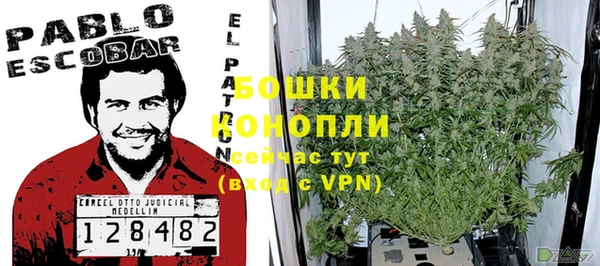 экстази Гусь-Хрустальный