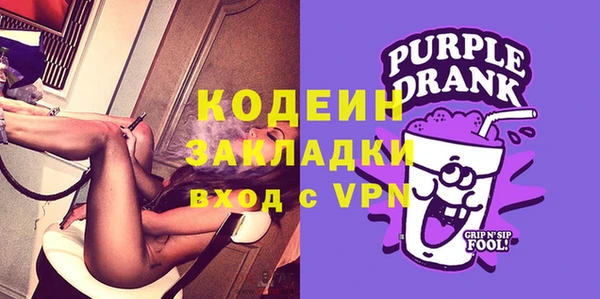 гашик Гусев