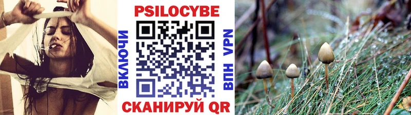Псилоцибиновые грибы прущие грибы  Пролетарск 